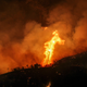 Image: Associated Press
